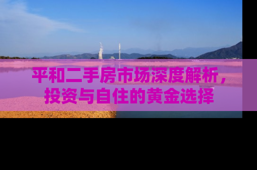 平和二手房市场深度解析，投资与自住的黄金选择