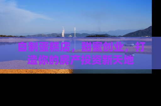 自制蛋糕店，甜蜜创业，打造你的房产投资新天地