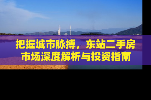 把握城市脉搏，东站二手房市场深度解析与投资指南