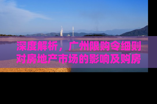 深度解析，广州限购令细则对房地产市场的影响及购房者应对策略