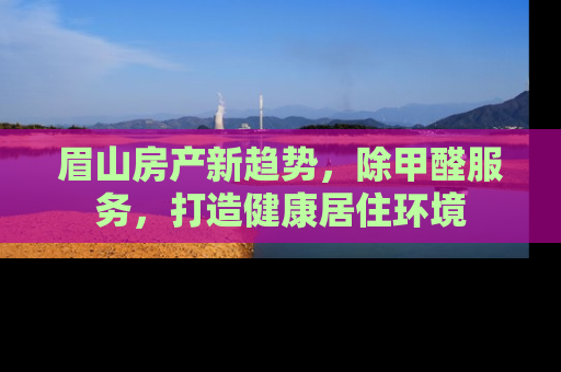 眉山房产新趋势，除甲醛服务，打造健康居住环境