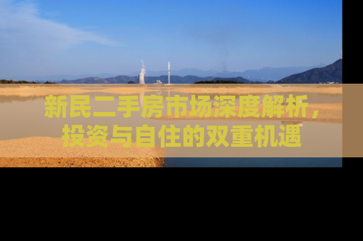 新民二手房市场深度解析，投资与自住的双重机遇