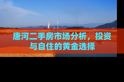 唐河二手房市场分析，投资与自住的黄金选择