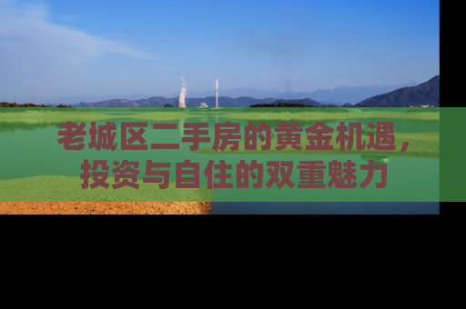 老城区二手房的黄金机遇，投资与自住的双重魅力