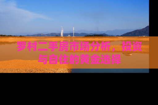 罗村二手房市场分析，投资与自住的黄金选择