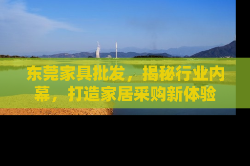 东莞家具批发，揭秘行业内幕，打造家居采购新体验