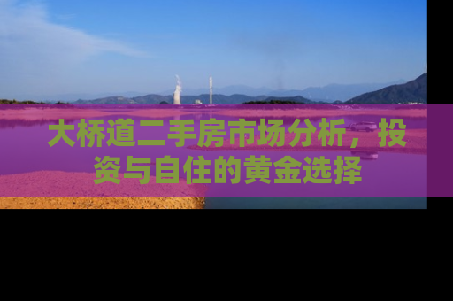 大桥道二手房市场分析，投资与自住的黄金选择