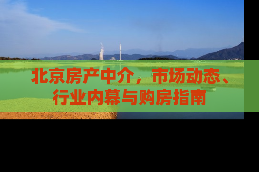北京房产中介，市场动态、行业内幕与购房指南