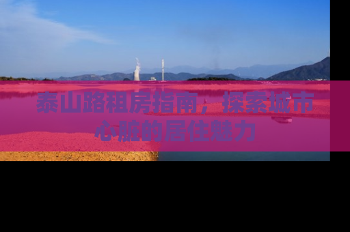 泰山路租房指南，探索城市心脏的居住魅力