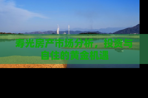 寿光房产市场分析，投资与自住的黄金机遇