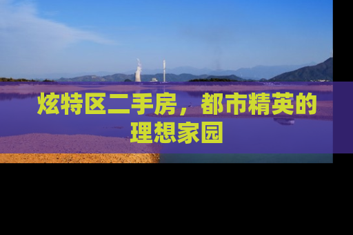 炫特区二手房，都市精英的理想家园