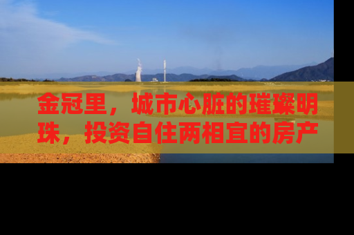 金冠里，城市心脏的璀璨明珠，投资自住两相宜的房产新宠