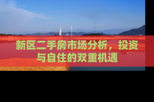 新区二手房市场分析，投资与自住的双重机遇