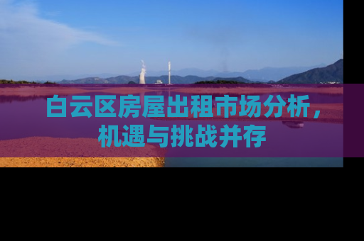 白云区房屋出租市场分析，机遇与挑战并存