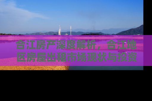 合江房产深度解析，合江地区房屋出租市场现状与投资指南