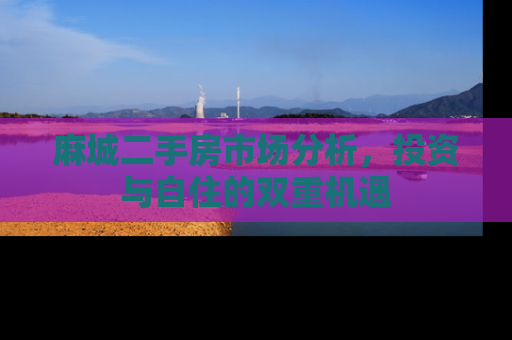 麻城二手房市场分析，投资与自住的双重机遇