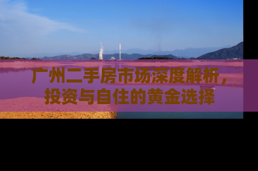 广州二手房市场深度解析，投资与自住的黄金选择