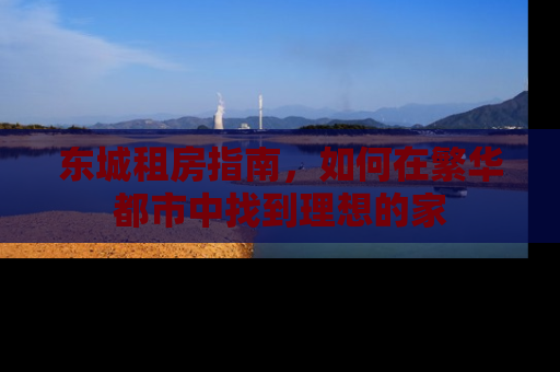 东城租房指南，如何在繁华都市中找到理想的家