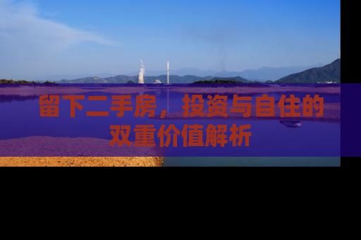 留下二手房，投资与自住的双重价值解析