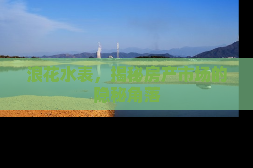 浪花水表，揭秘房产市场的隐秘角落
