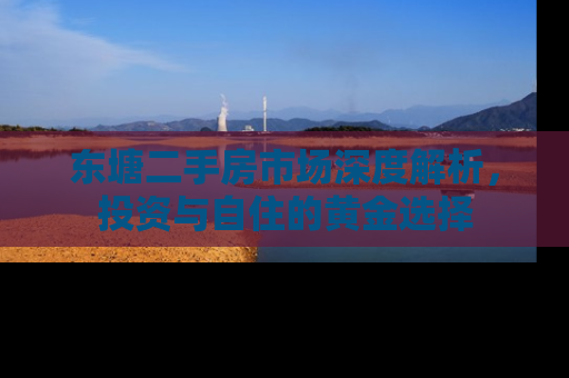 东塘二手房市场深度解析，投资与自住的黄金选择