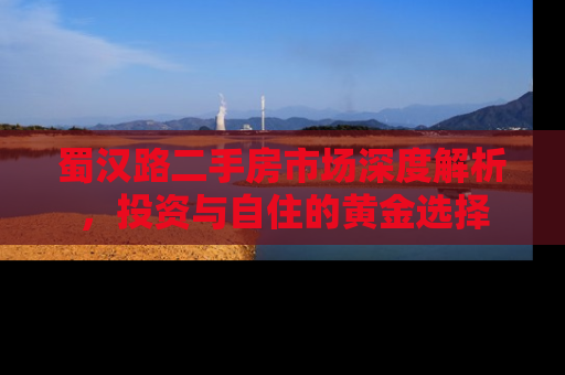 蜀汉路二手房市场深度解析，投资与自住的黄金选择