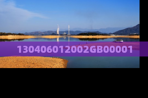 130406012002GB00001
