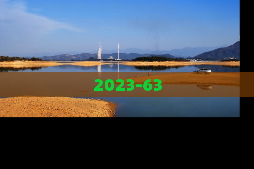 2023-63