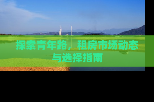 探索青年路，租房市场动态与选择指南