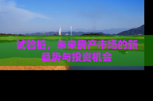 试验桩，未来房产市场的新趋势与投资机会