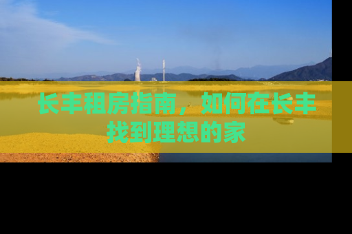 长丰租房指南，如何在长丰找到理想的家