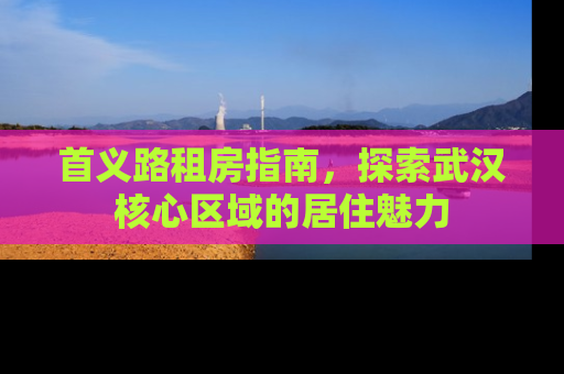 首义路租房指南，探索武汉核心区域的居住魅力