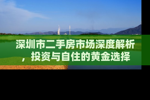 深圳市二手房市场深度解析，投资与自住的黄金选择