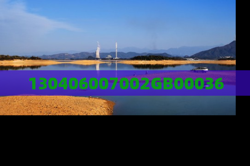 130406007002GB00036