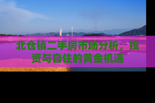 北仓镇二手房市场分析，投资与自住的黄金机遇