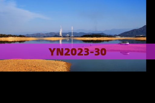 YN2023-30