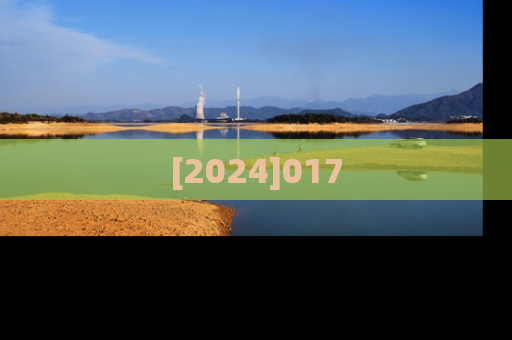[2024]017