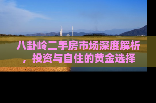 八卦岭二手房市场深度解析，投资与自住的黄金选择