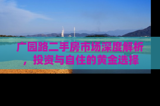 广园路二手房市场深度解析，投资与自住的黄金选择
