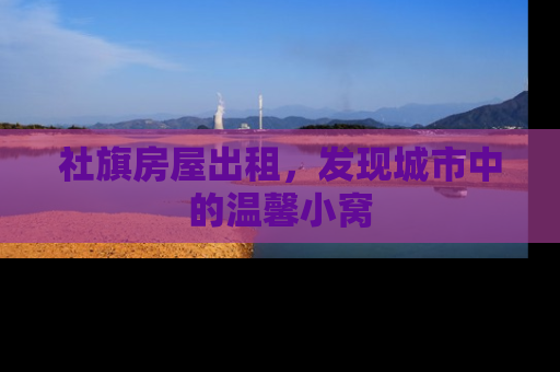 社旗房屋出租，发现城市中的温馨小窝