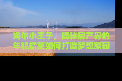 海尔小王子，揭秘房产界的年轻精英如何打造梦想家园