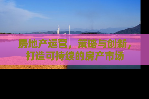 房地产运营，策略与创新，打造可持续的房产市场