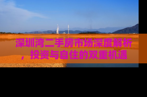 深圳湾二手房市场深度解析，投资与自住的双重机遇