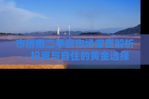 市桥南二手房市场深度解析，投资与自住的黄金选择