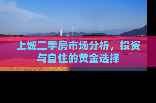 上城二手房市场分析，投资与自住的黄金选择