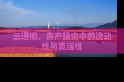 三通阀，房产投资中的流动性与灵活性