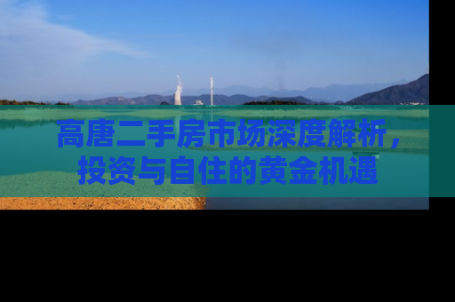 高唐二手房市场深度解析，投资与自住的黄金机遇