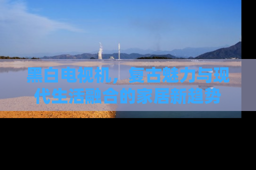 黑白电视机，复古魅力与现代生活融合的家居新趋势