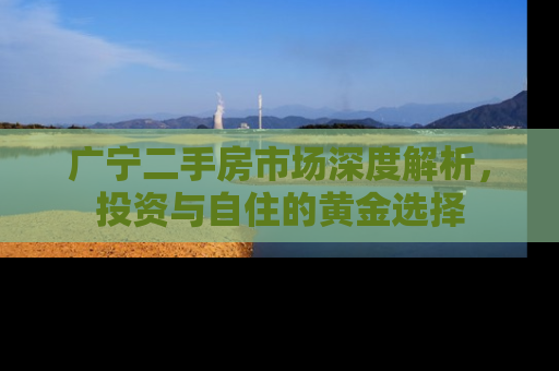 广宁二手房市场深度解析，投资与自住的黄金选择