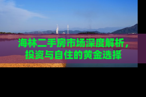 海林二手房市场深度解析，投资与自住的黄金选择